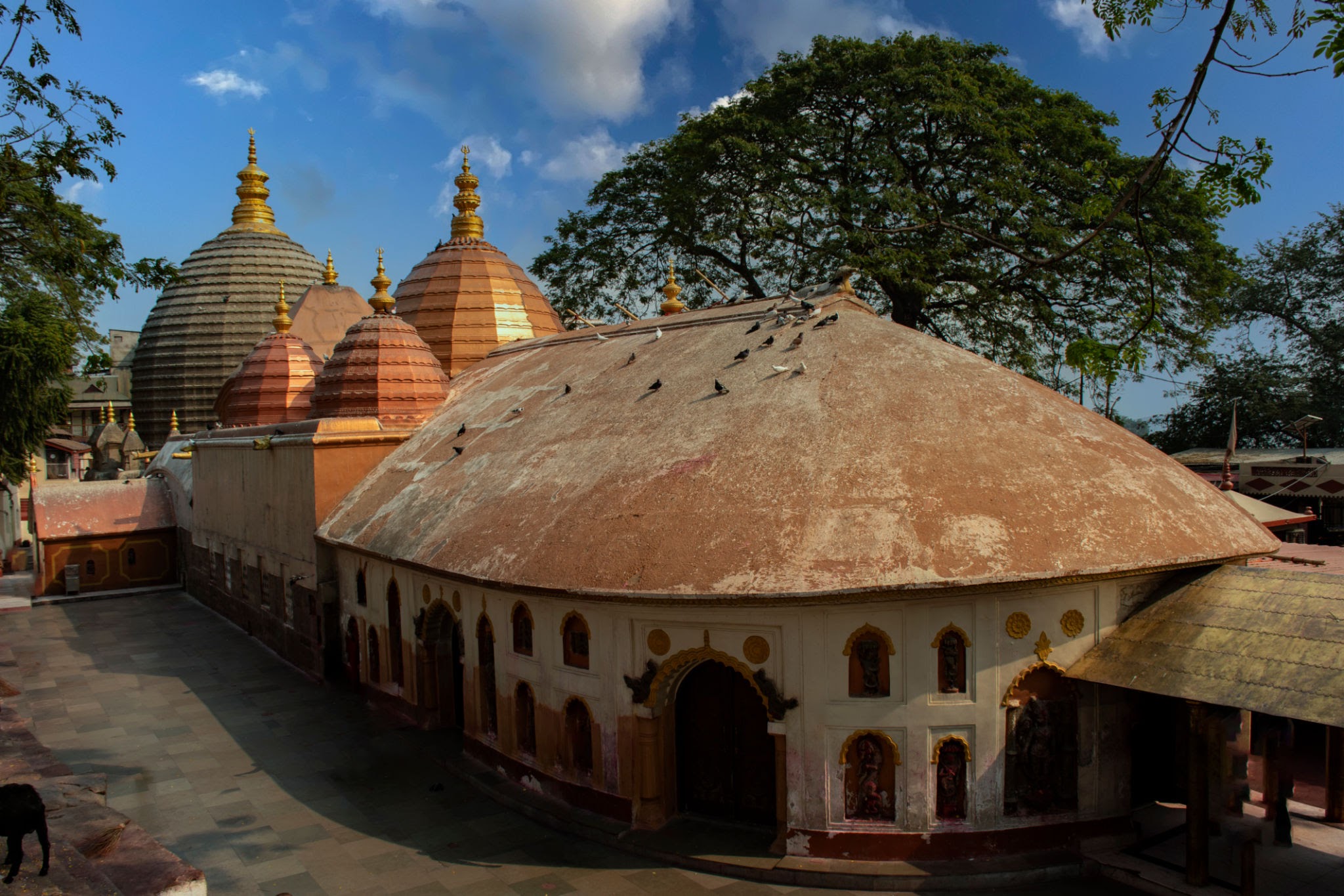 Kamakhya Temple